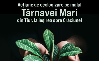 Haideți să ne unim forțele pentru ecologizare! (2023)